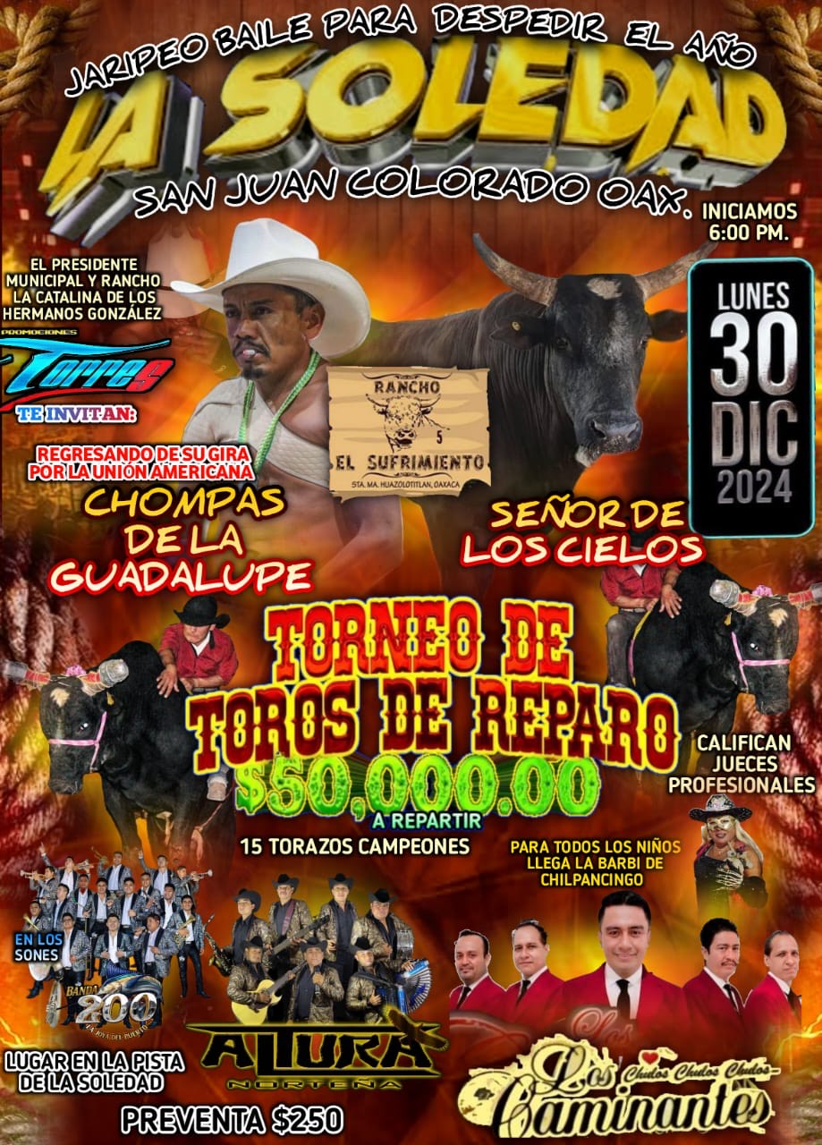 TORNEO DE TOROS DE REPARO